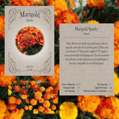 Flower Seed Set - Flower Varieties of Non-GMO & Heirloom Premium Seeds for Planting - Sunflower, Marigold, Lavender, and More! (26, Set 1)