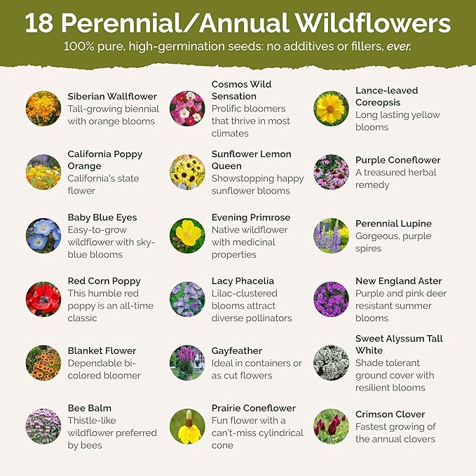 Eden Brothers Hawaii Wildflower Mixed Seeds for Planting, 1/4 lb, 120,000+ Seeds with Sunflower, Coneflower | Attracts Pollinators, Plant in Spring or Fall, Zones