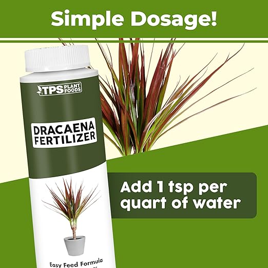 Dracaena Fertilizer - Liquid Plant Food for All Dracaena Plants and Trees, 8 oz