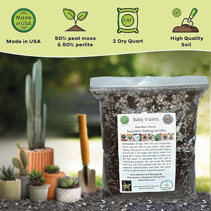 Succulent (½ Gallon / 2 quarts) Plant Potting Soil Mix Peat Moss & Perlite