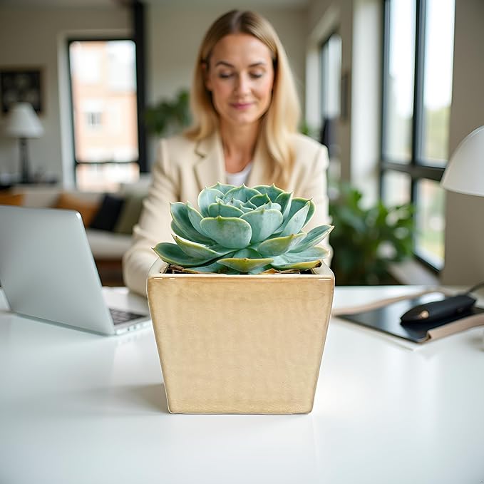 Admired by Nature 5" Ceramic Flower Planter Pot - for Home Decor, Indoor Gardens, Succulents, Organization, Display, Storage - Medium White