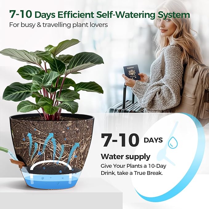 T4U 6 Inch Self Watering Pots for Indoor Plants - Mess-Free Bottom Watering Planter for Herbs/Pothos/Succulent Plants, Indoor Outdoor Use (Black, 4 Pack)