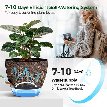 T4U 6 Inch Self Watering Pots for Indoor Plants - Mess-Free Bottom Watering Planter for Herbs/Pothos/Succulent Plants, Indoor Outdoor Use (Black, 4 Pack)
