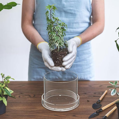 2 Pcs 6 Inch 8 Inch Clear Plant Pots Acrylic Nursery Orchid Pots with Drainage Holes and Tray Transparent Planter for Indoor Plants, Succulents, Herb, Flowers, and Cactus Decorative