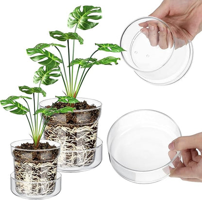 Baderke 4 Inch and 6 Inch Glass Plant Pots with Saucer, Flower Nursery Plant Pots with Drainage for Flower Seed Starter Transparent Seedling (2 Sets)