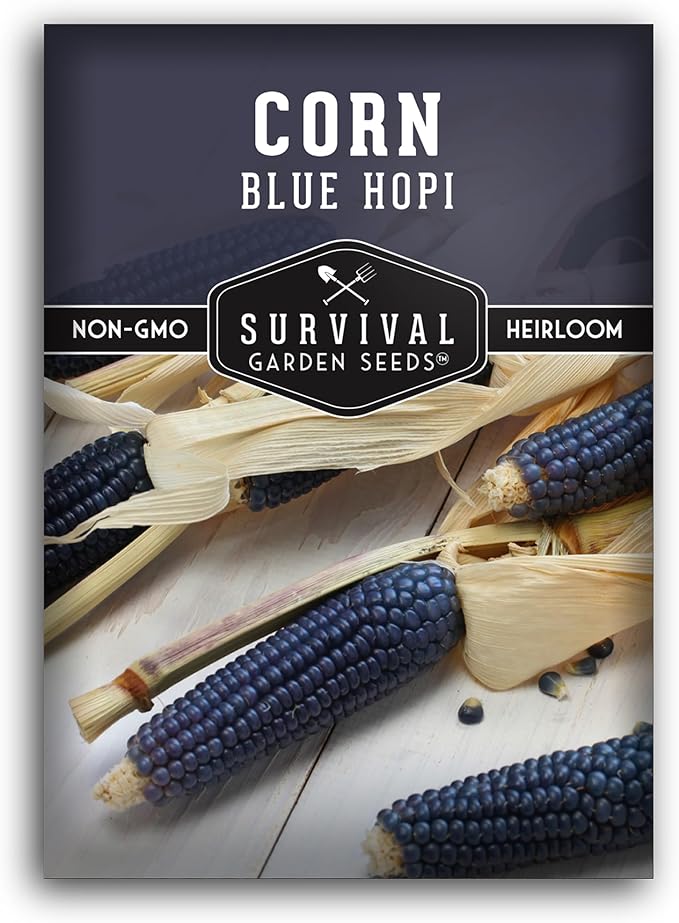 Blue Hopi Corn Seeds for Planting - Plant & Grow Heritage Blue Maize in Your Home Vegetable Garden - Non-GMO Heirloom Variety - Survival Garden Seeds (1 Pack)