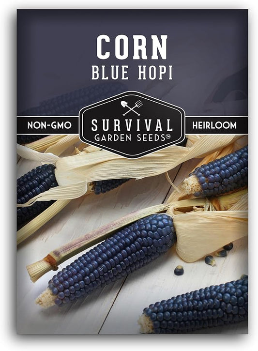 Blue Hopi Corn Seeds for Planting - Plant & Grow Heritage Blue Maize in Your Home Vegetable Garden - Non-GMO Heirloom Variety - Survival Garden Seeds (1 Pack)