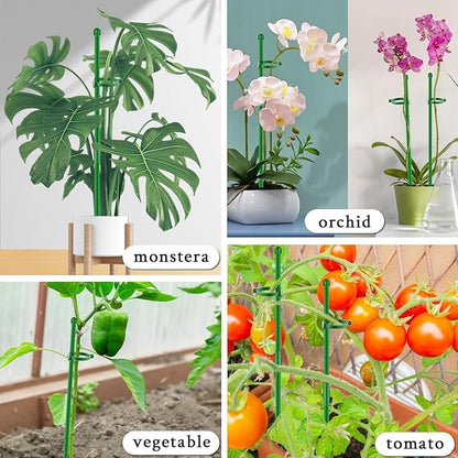 11 Pack Plant Support Set, 5pcs Plant Stakes and 6pcs 17inch Plant Sticks with Extension Poles, Plant Clips, Plant Ties for Potted Monstera Plants, Climbing Plants Tall Potted Plants