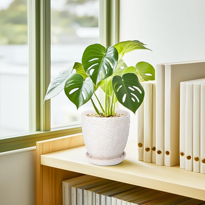 6 Inch Ceramic Plant Pots, Indoor Plant Pots with Drainage Hole & Saucer, Flower Pots, Unique Crackle Glaze Design, White Glaze - Set of 2