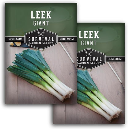 Survival Garden Seeds Giant Leek Seed for Planting - 2 Packets with Instructions to Plant and Grow Enormous Leeks in Your Home Vegetable Garden - Non-GMO Heirloom