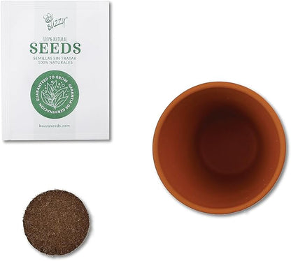 BUZZY Seeds Daisy Daydream Collection Mini Terracotta Grow Pots 6-Pack, All-in-One Starter Kit with Seed Packs and Growing Medium, Wedding Favors, Gardening Gifts, Garden Parties