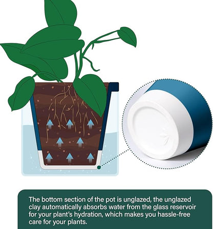 D'vine Dev 8 Inch Design Self Watering Planter for Indoor Plants, Blue Terracotta Pot with Cylinder Glass Cup, 37-X-C-4