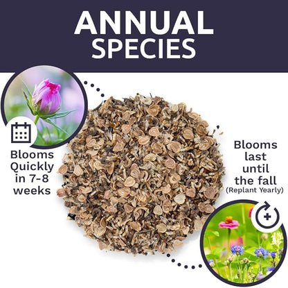 Wildflower Seeds Annual Quick Blooming Mix - Large 1 Ounce Packet Over 7,500 Open Pollinated Seeds