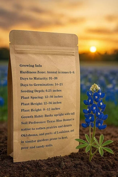 Texas Bluebonnet Seeds by LOSEEDSOO – 0.5oz Pack with 700+ Seeds – Easy to Grow Annual Wildflower – Heat & Drought Tolerant – Native to Texas Prairies – Vibrant Blue Spring Blooms