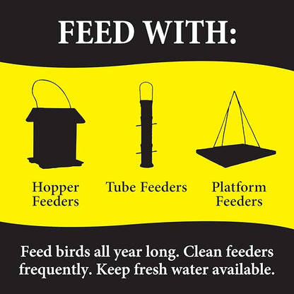 Wild Delight Advanced Formula Bugs N Berries Wild Bird Food 4.5 lbs