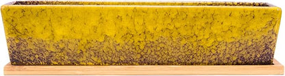 Succulent Pots - Large Succulent Planter Pots with Drainage, 12 Inch Long Rectangle Bonsai Pot with Bamboo Tray Shallow Ceramic Cactus Flower Planter Window Box for Home Garden Decor (Yellow)