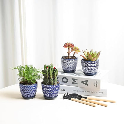 Selamica Ceramic Succulent Pots, 3.5 Inch Small Plant Pots for Indoor Plants Cactus Herbs, Succulent Planters with Drainage Holes & Saucers, Home Decor, Set of 6, Vintage Blue