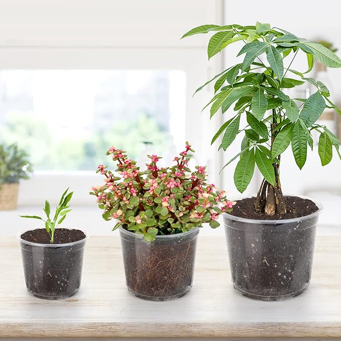28 Pack 4/5/6/7 Inch Clear Nursery Pots for Plants with Drainage Holes, Clear Plastic Seedling Flower Plant Pot Insert, Seed Starter Pots