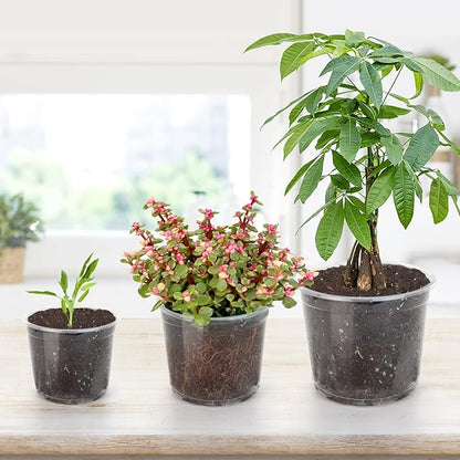 28 Pack 4/5/6/7 Inch Clear Nursery Pots for Plants with Drainage Holes, Clear Plastic Seedling Flower Plant Pot Insert, Seed Starter Pots