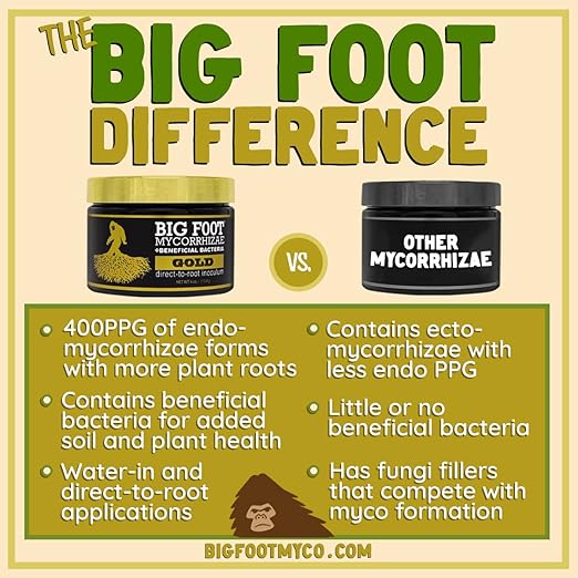 Big Foot Gold Mycorrhizal Fungi - 127 x More Concentrated Than Competition- 950 Million CFU/gram Bacteria, 400 Spores per gram. Treats 10,800 Plants (8 oz)
