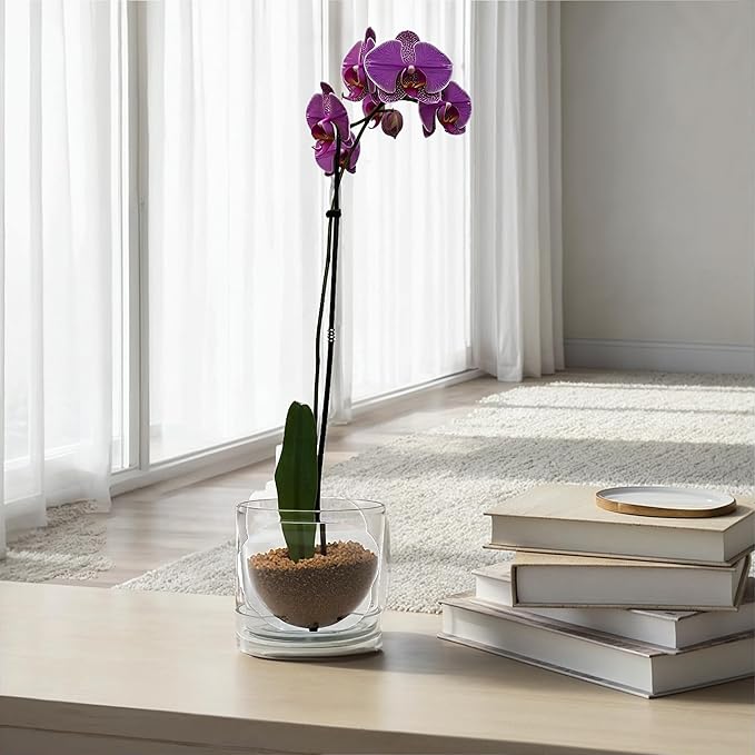 Creative Co-Op Round Hand-Blown Glass Planter with Drainage Hole and Saucer, Clear