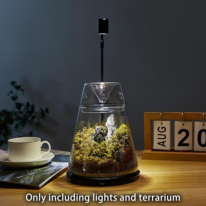 Glass Plant Terrarium with Lid 6.3"X7.9" Inches Succulent Air Planter Fern Moss Micro-Landscape Vase for Home Office Tabletop Decoration Container Indoor Wardian Copyright Patent（with Light）