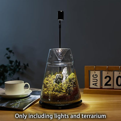 Glass Plant Terrarium with Lid 6.3"X7.9" Inches Succulent Air Planter Fern Moss Micro-Landscape Vase for Home Office Tabletop Decoration Container Indoor Wardian Copyright Patent（with Light）