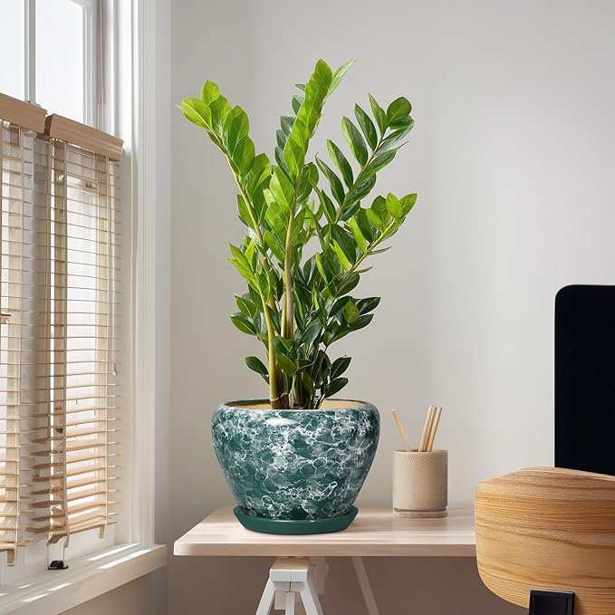 Ceramic Planter - 10 Inch Pots for Plants Indoor Outdoor, Decorative Modern Flower Pots with Drainage Hole and Saucer, Round Large Plant Pot, House Decor, Gifts for Gardeners, Bubble Green