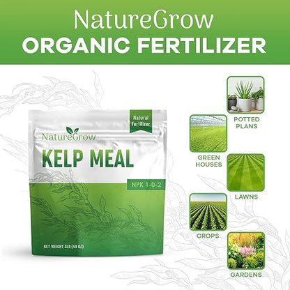 Kelp Meal 1-0-2 Natural Plant Food, Boost Plant Health and Yield! (24lb)