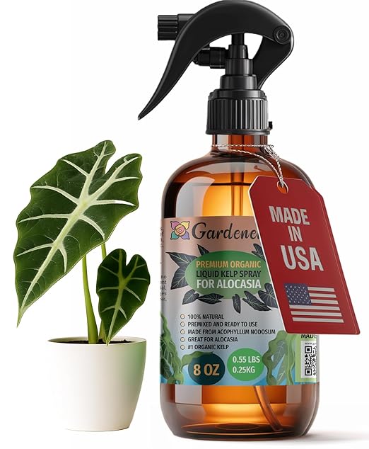 GARDENERA Professional Organic Liquid Kelp Spray for ALOCASIA Plants - 8 oz - Ready-to-Use Fully Organic Seaweed & Kelp Fertilizer Mist