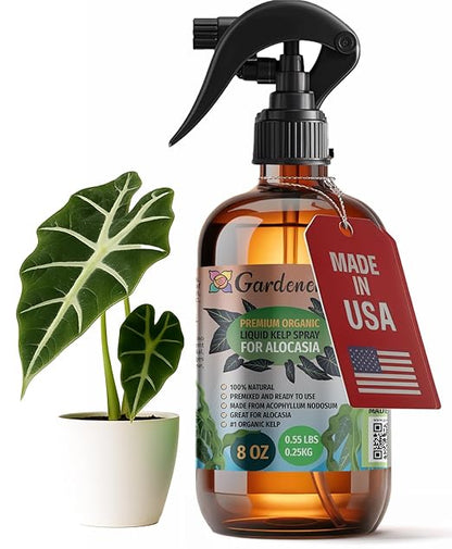 GARDENERA Professional Organic Liquid Kelp Spray for ALOCASIA Plants - 8 oz - Ready-to-Use Fully Organic Seaweed & Kelp Fertilizer Mist
