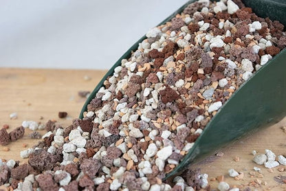 1 Qrt. Pre Mixed Pumice, Red Lava, Turface for Cactus & Succulent, Garden House Plant, Bonsi Tree Soil Mix - Medium Grain Inorganic Additive (1Q INORG M)