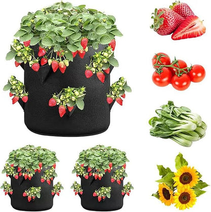 Ulalaza 5PCS Potato Grow Bags with Flap Plant Grow Bags Fabric Multi Ribbon Potato Bag Tomato Vegetable Growth Non-Woven Felt Planting Bag Transparent