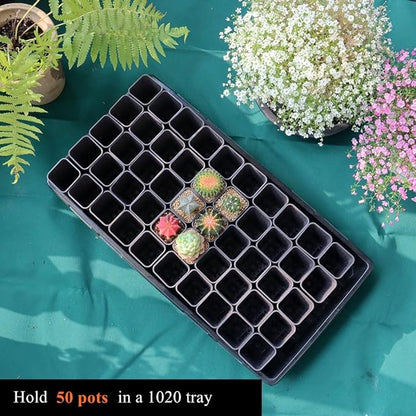 BangQiao 180 Pack 1.95 Inch Tiny Gray Plastic Square Nursery and Seedling Pot, Mini Deep Transplant Seed Starter Planter with Drain Hole for Germination, Herb, Succulent