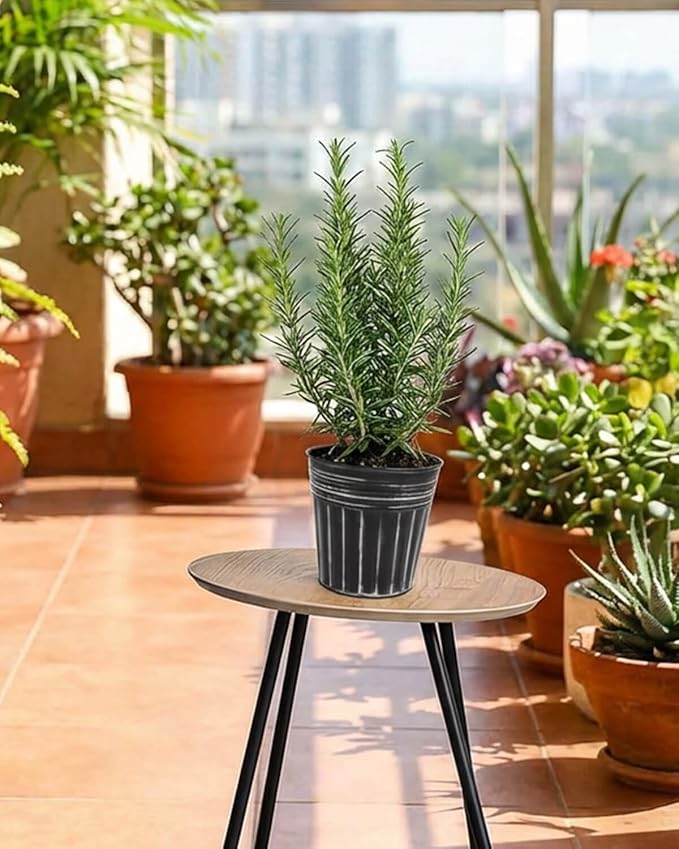 vensovo 5 Inch Black Metal Rustic Flower Pots - 6Pcs Medium Galvanized Planters with Drainage Hole and Rubber Plug, Rustproof Metal Bucket Plant Pots Farmhouse Vintage Style for Decor