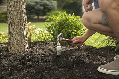 Miracle-Gro Fertilizer Spikes for Fruit and Citrus Trees, 12-Pack (Not Sold in Pinellas County, FL)