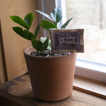 Abbey & CA Gift Seeds Soil Water Flag Flower Pick