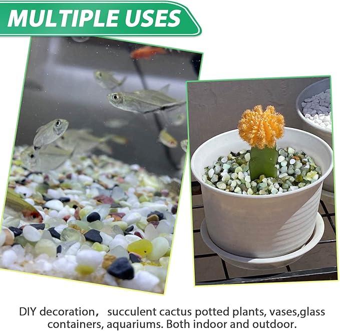 Succulent Rocks for Plants Tiny Pebbles for Planters 2.8LB Pea Gravel Bulk Course Sand Soil Small Decorative Stones for Indoor Bonsai Pots Cactus Top Dressing Aquarium Garden Landscape, Green
