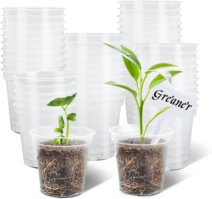GREANER 60 Pcs Nursery Pots for Plants, 2.4 Inch Small Starter Seed for Seedling, Transparent Plastic Plant Pots with Bonus 20 Plant Labels-Clear