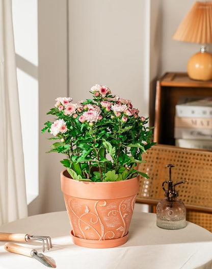 Melphoe Plant Pots Indoor with Drainage & Saucer, 2Pack 8 inch Flower Pots Outdoor Planters for Indoor Plants Garden Home Decor Cactus Succulent, Rigid Plastic (Imitation-Terracotta) Vine-Embossed