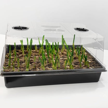 RooTrimmer 4-Pack Seed Starter Trays with 5'' Tall Humidity Domes – Reusable Plant Germination Kit for Microgreens, Herbs & Indoor Gardening | Clear Vented Lids, Fast Seedling Growth & Durable Design