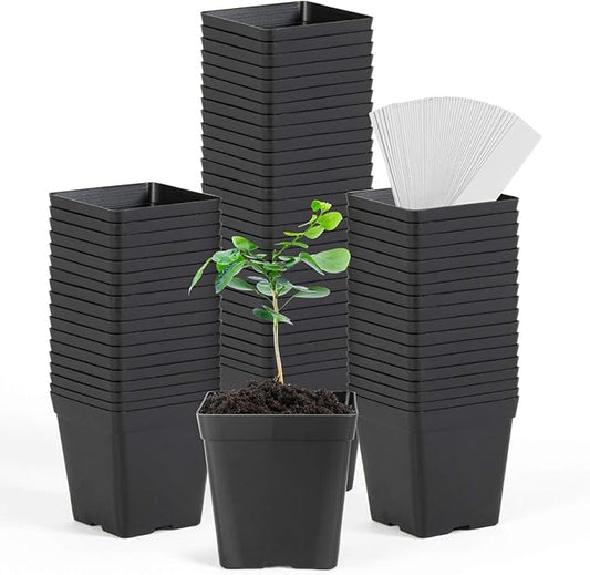 June Fox Square Nursery Pots 3.3 Inches Flexible Plastic Seedling Pots Square Pots for Plants, Succulent, Flower, Pack of 60, with 60 PCS Plant Labels
