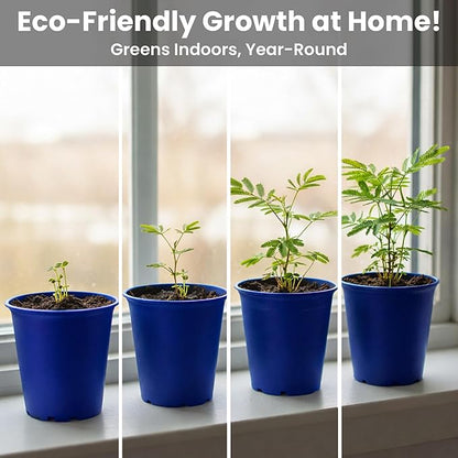 TickleMe Plant Deluxe Family Greenhouse Kit – Grow The Playful Plant That Closes Its Leaves When Tickled! Includes Mini Greenhouse, 3 Seed Packets, Soil Pellets & Pots – Fun Indoor Gardening Gift