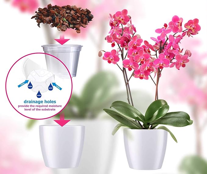 SMEREKA Orchid Repotting Kit with 6-Inch Clear Slotted Pots, Premium Potting Mix, Fertilizer, Cytokinin Paste, and Supportive Clips for Healthy Indoor Orchid Growth