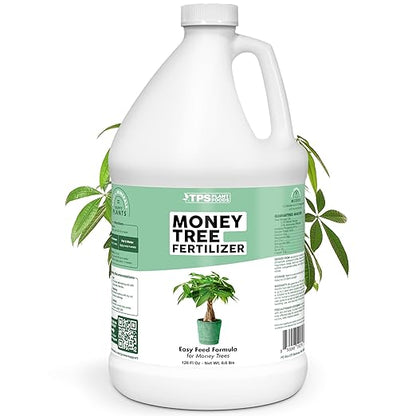 Money Tree Fertilizer for Money Trees and All Pachira Plants, Liquid Plant Food, 1 Gallon (128 oz)