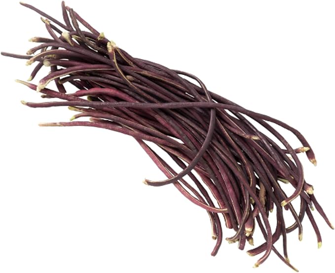 Purple Yard Long Bean Seeds 85+ Seeds, Asian Heirloom Yard Long Beans Seeds, Asparagus Beans Seeds, Phaseolus Vulgaris, Non GMO