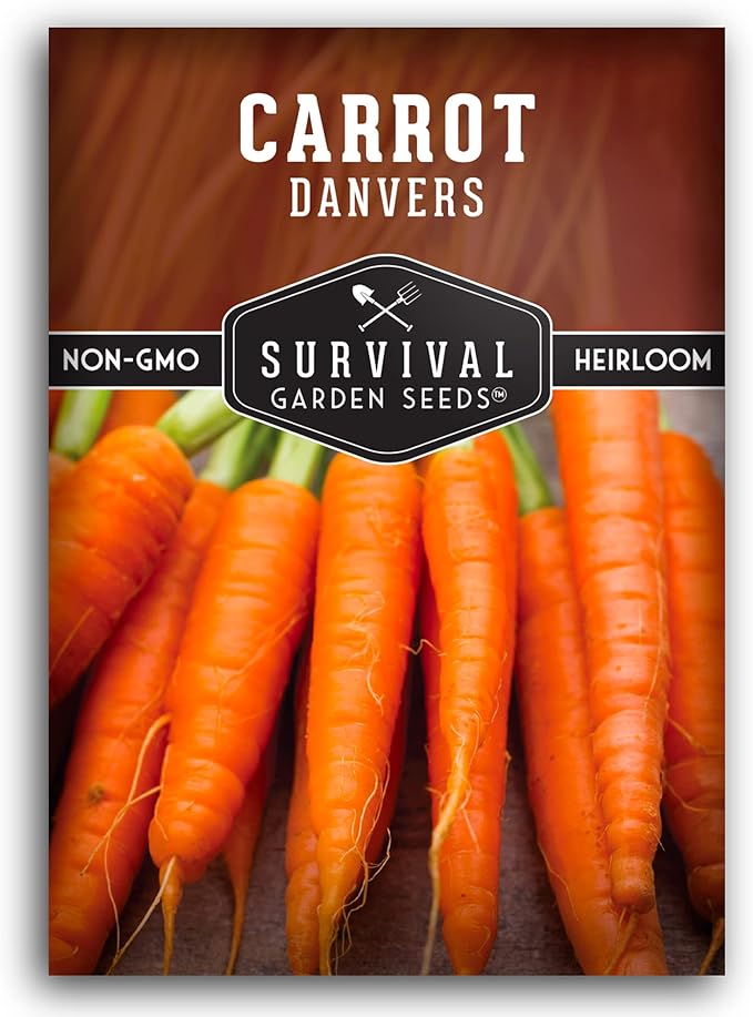 Danvers Carrot Seeds – Danvers 126 Half-Long Carrots for Planting, High-Yield Heirloom Variety – Non-GMO, Open Pollinated Garden Carrot Seeds – Survival Garden Seeds (1 Pack)