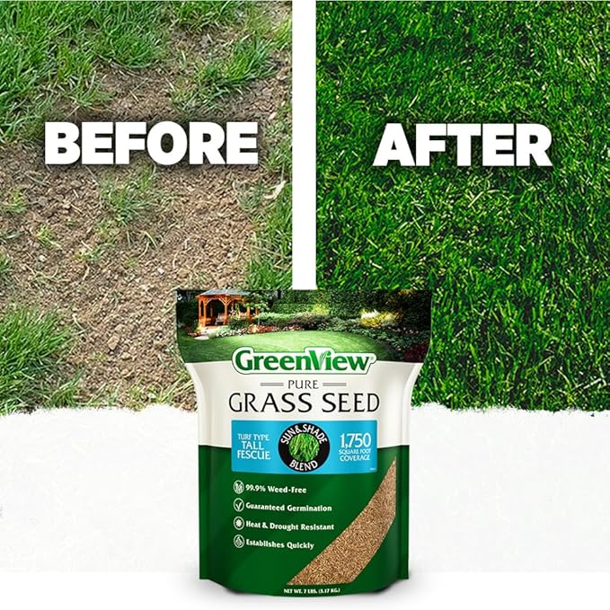 GreenView Pure Grass Seed Turf Type Tall Fescue Sun & Shade Blend, 3 lb. Bag – Covers up to 750 sq. ft.
