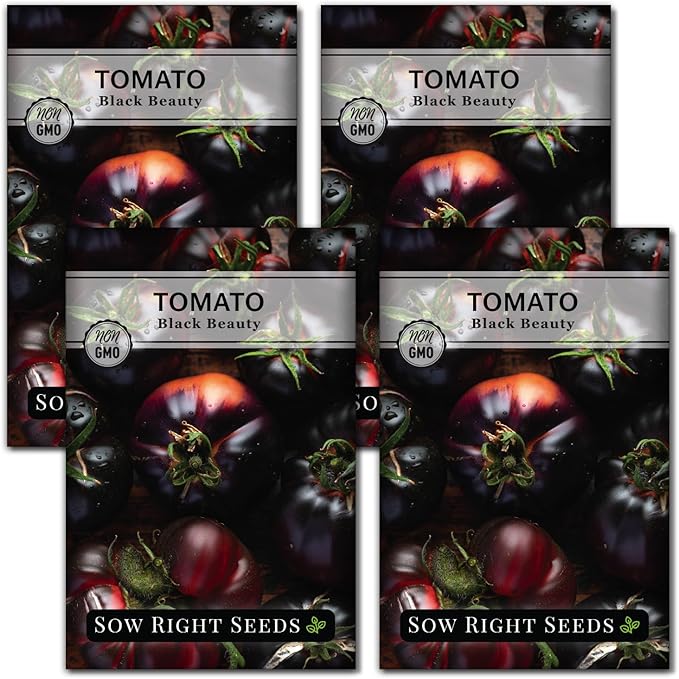 Sow Right Seeds - Black Beauty Tomato Seeds for Planting - Non-GMO Heirloom Packet with Instructions to Plant an Outdoor Home Vegetable Garden - Rare Deep Purple Slicing Variety - Sweet Flavor (4)