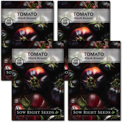 Sow Right Seeds - Black Beauty Tomato Seeds for Planting - Non-GMO Heirloom Packet with Instructions to Plant an Outdoor Home Vegetable Garden - Rare Deep Purple Slicing Variety - Sweet Flavor (4)